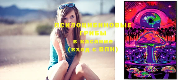 молекула духа Лихославль