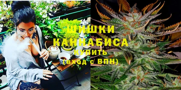 молекула духа Лихославль
