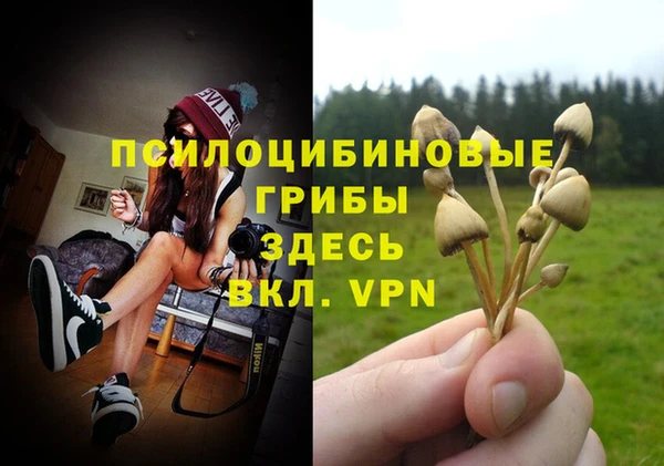 a pvp Лиски