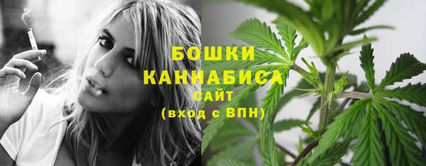 спиды Липки