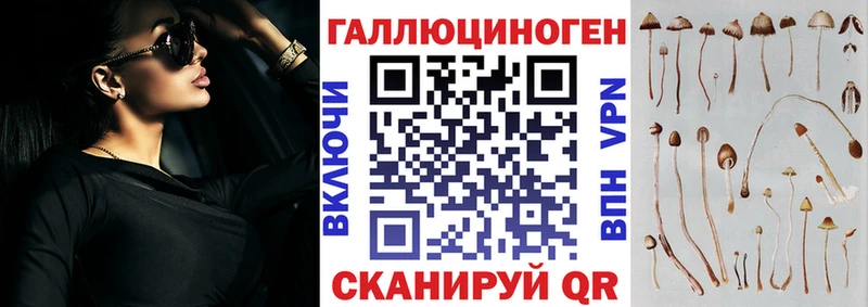 площадка наркотические препараты Избербаш Галлюциногенные грибы MAGIC MUSHROOMS