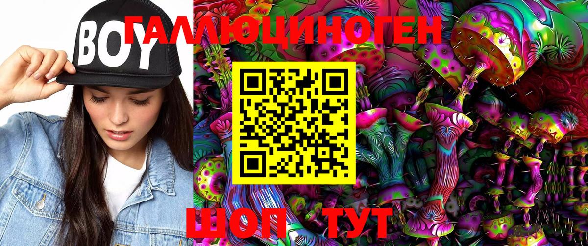 Псилоцибиновые грибы GOLDEN TEACHER  где найти наркотики  Избербаш 