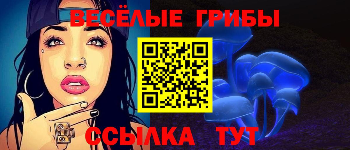 Псилоцибиновые грибы мухоморы  Псилоцибиновые грибы мухоморы  Вход с VPN  закладки  Избербаш 